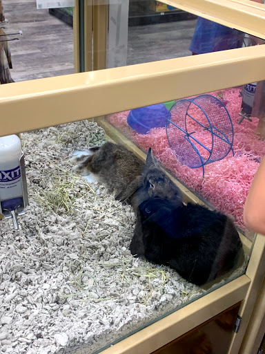 Pet Supply Store «Pet Supermarket, Inc.», reviews and photos, 9294 Kingston Pike, Knoxville, TN 37922, USA