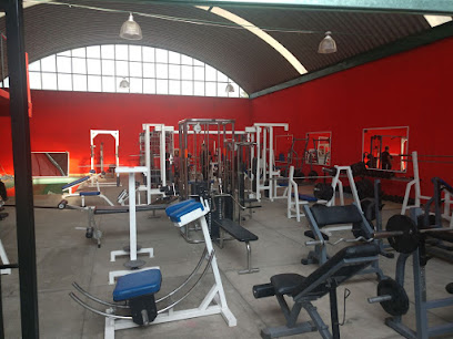 Emporio Gym - Matamoros Nte. 204, Centro, 52400 Centro, Méx., Mexico