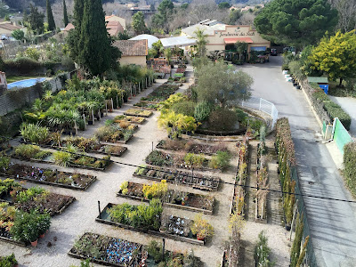 Jardinerie du Tech | Végétaux, outillage, arrosage... | Reynès à Reynes