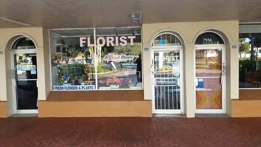 A Royal Bloom Flowers & Gifts, 7252 W Oakland Park Blvd, Lauderhill, FL 33313, USA, 