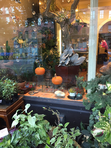 Florist «Floral Heights», reviews and photos, 107 Atlantic Ave, Brooklyn, NY 11201, USA