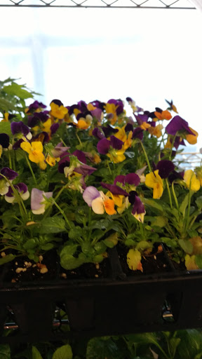 Market «West Side Market», reviews and photos, 1979 W 25th St, Cleveland, OH 44113, USA