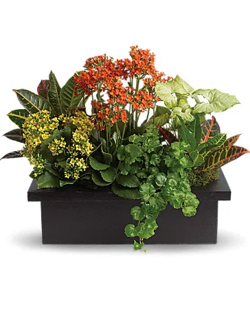 Florist «East Lawn Florist», reviews and photos, 4590 Folsom Blvd, Sacramento, CA 95819, USA