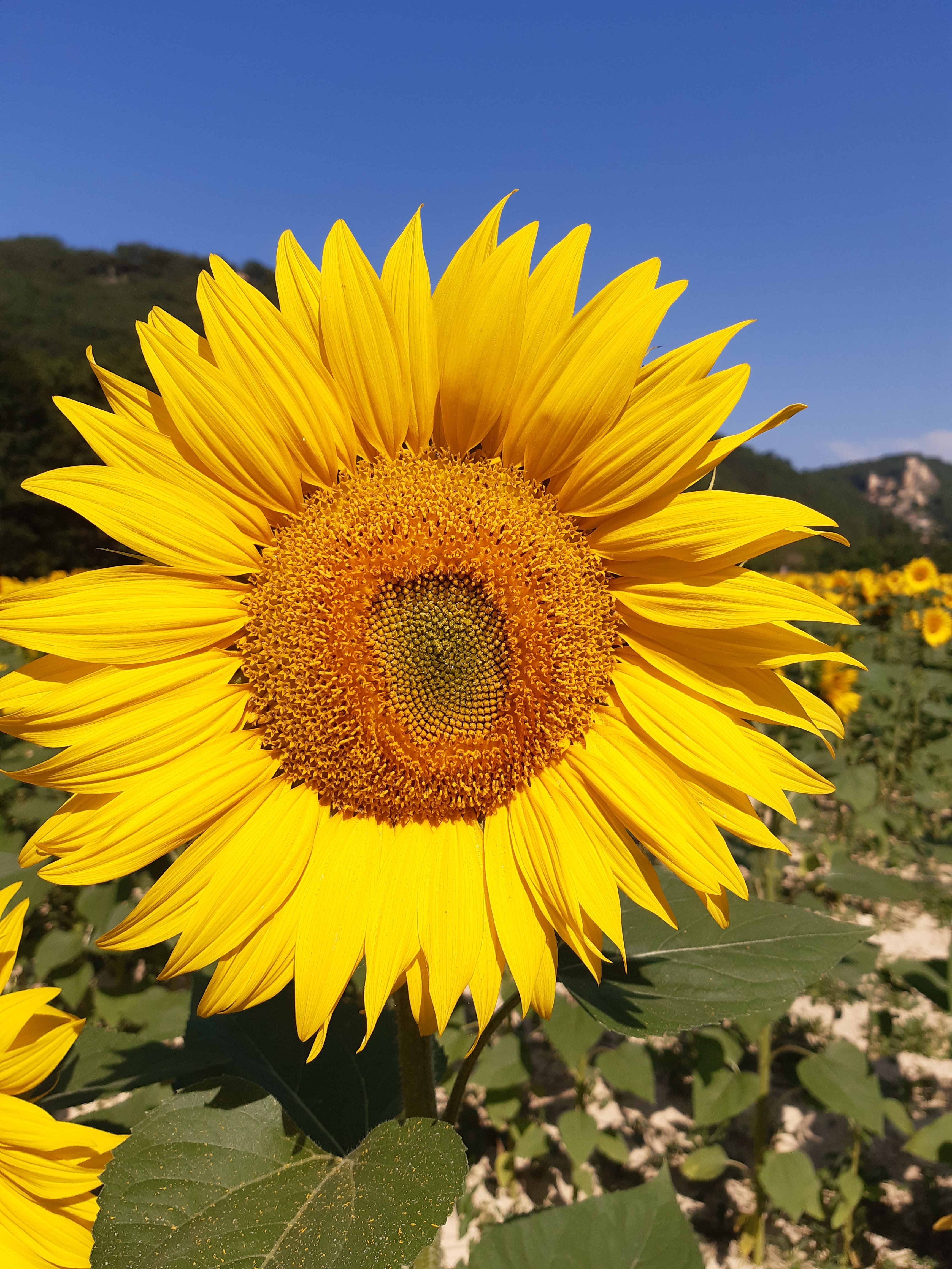 Photo n° 2 de l'avis de Detlev.r fait le 22/07/2020 à 13:50