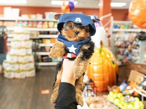 Pet Supply Store «Petland Tyler», reviews and photos, 4512 S Broadway Ave, Tyler, TX 75703, USA