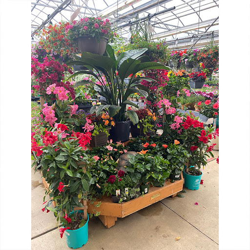 Garden Center «Stauffers of Kissel Hill Home & Garden Store», reviews and photos, 4450 Lincoln Hwy, York, PA 17406, USA