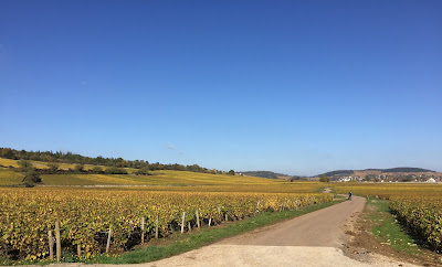 Active Tours à Beaune