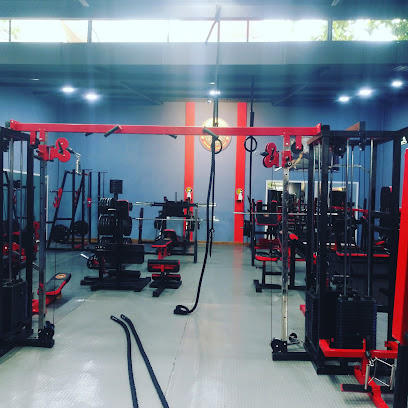 Sanson Gym Fitness - Zona Centro, 36300 San Francisco del Rincón, Guanajuato, Mexico