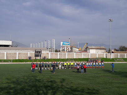 Estadio Guillermo Saavedra