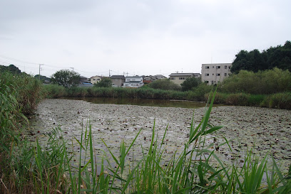 赤坂沼