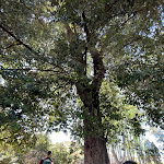 Photo n°35 de l'avis de Mariagrazia.. fait le 24/04/2022 à 19:30 sur le  La Limonaia à Rome