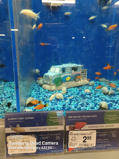 Pet Supply Store «PetSmart», reviews and photos, 15555 E 14th St, San Leandro, CA 94578, USA