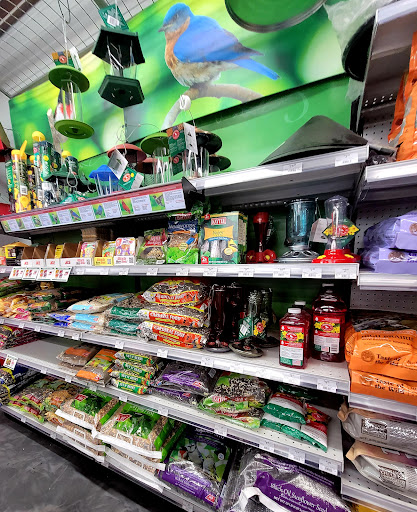 Hardware Store «Deland Ace Hardware», reviews and photos, 245 S Woodland Blvd, DeLand, FL 32720, USA