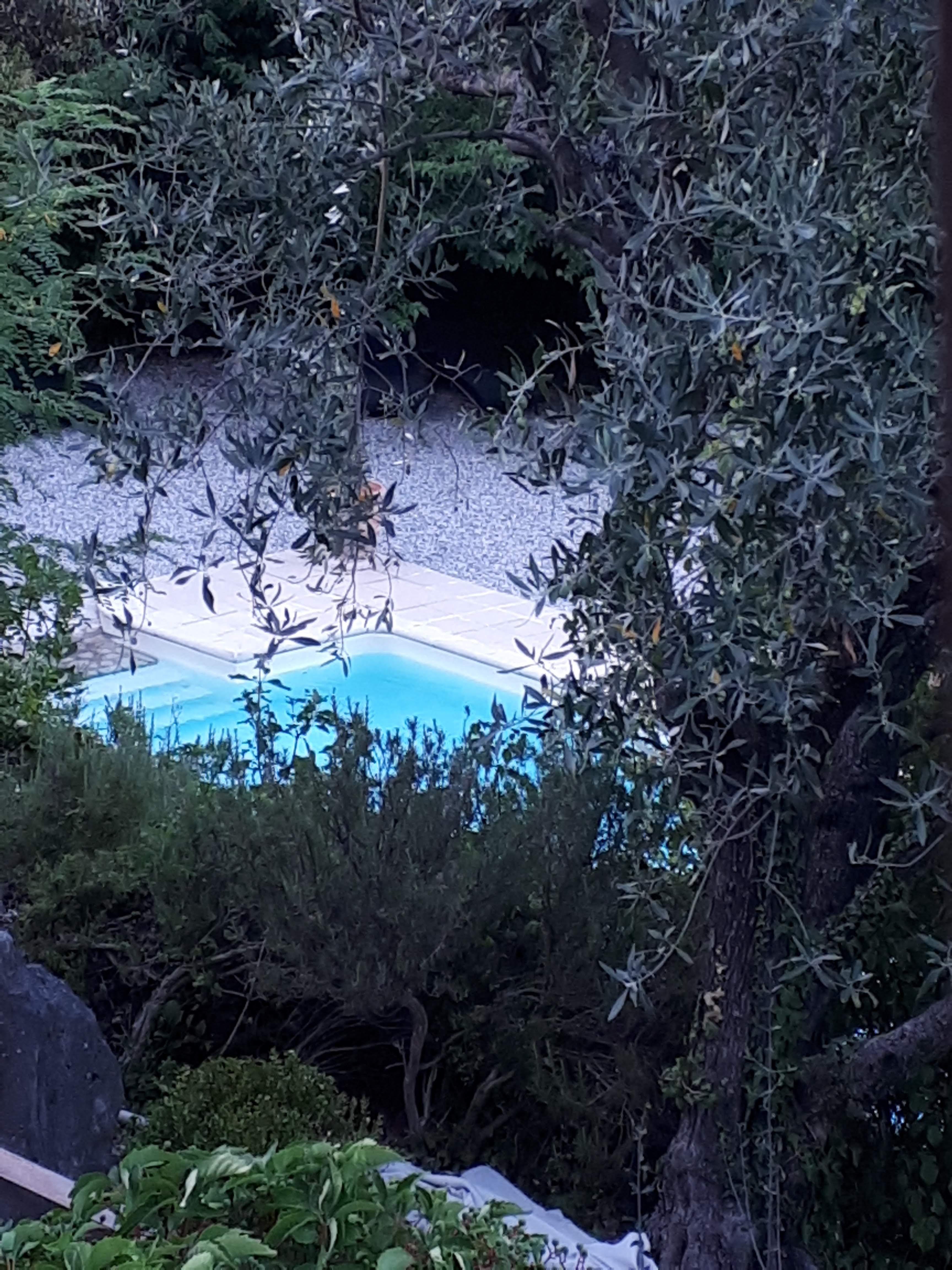 Photo n° 2 de l'avis de Delphine.h fait le 20/08/2019 à 15:47