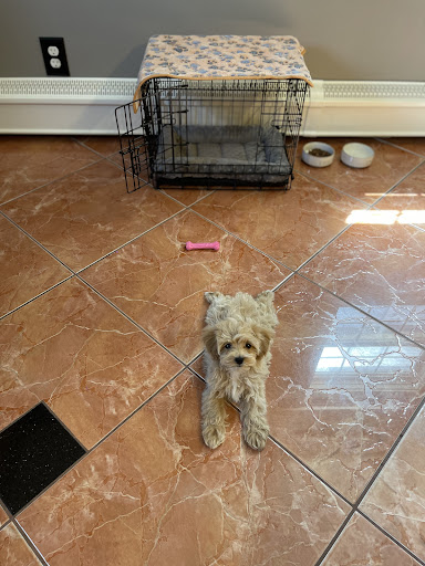 Pet Store «The Pet Shoppe», reviews and photos, 1284 NJ-35, Middletown, NJ 07748, USA