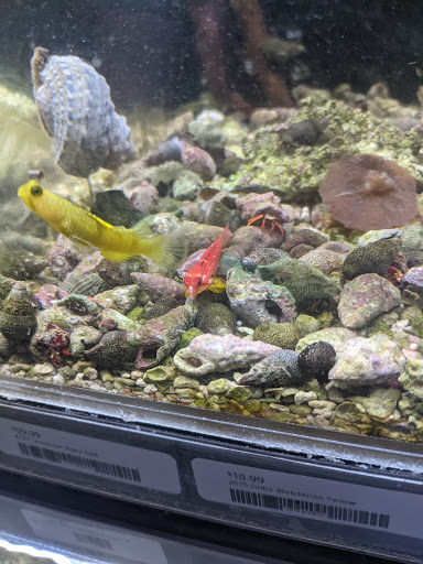 Tropical Fish Store «Beyond the Reef», reviews and photos, 205 W Golf Rd, Schaumburg, IL 60195, USA