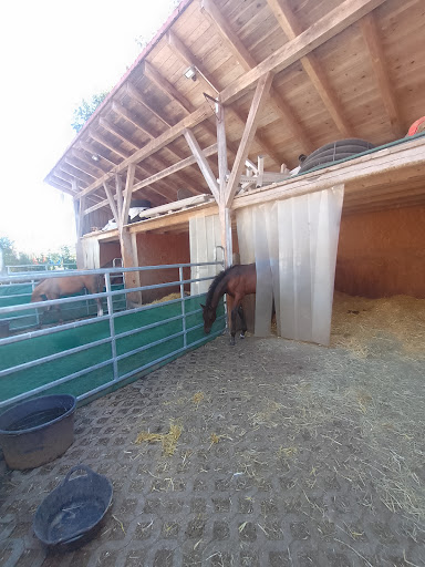 Tierärztliche Ambulanz Rattenhuber unter Rott, Bayern