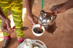 Philipo Coffee Farm image