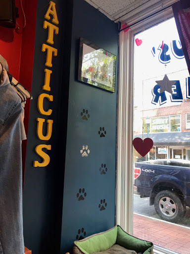 May 23 Clothing and Accessories, 117 W Gay St #134, West Chester, PA 19380, USA, 