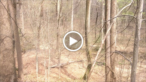 Park «Fairland Regional Park», reviews and photos, 13950 Old Gunpowder Rd, Laurel, MD 20707, USA