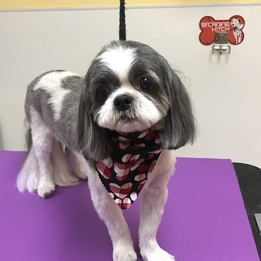 Pet Supply Store «Animal House Grooming & Quality», reviews and photos, 229 W Absecon Blvd, Absecon, NJ 08201, USA