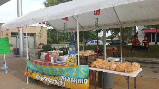 Ice Cream Shop «MANGONADAS DEL BARRIO», reviews and photos, 1210 Lawndale St, Detroit, MI 48209, USA