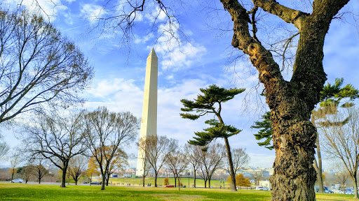 Museum «United States Holocaust Memorial Museum», reviews and photos, 100 Raoul Wallenberg Pl SW, Washington, DC 20024, USA