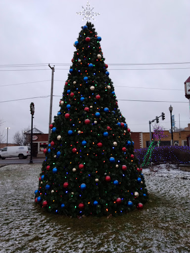 Grocery Store «KD Market», reviews and photos, 9500 Irving Park Rd, Schiller Park, IL 60176, USA