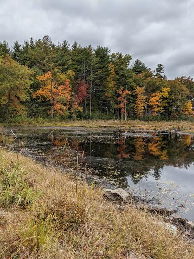 State Park «Lowell-Dracut-Tyngsborough State Forest», reviews and photos, Trotting Park Rd, Dracut, MA 01826, USA