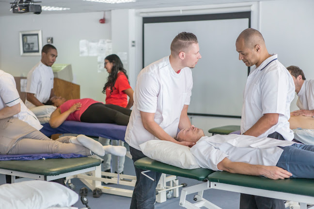 University College of Osteopathy - University