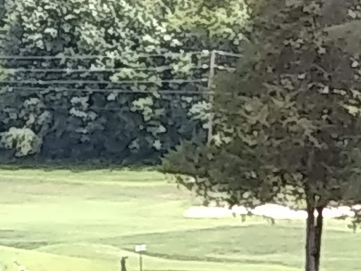 Country Club «Farmington Country Club», reviews and photos, 1625 Country Club Cir, Charlottesville, VA 22901, USA