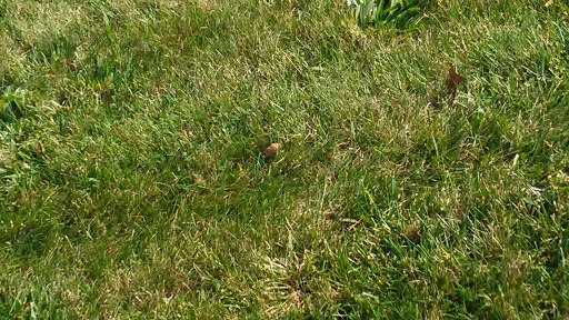 Motorcycle Dealer «Ask Powersports», reviews and photos, 2450 Park Crescent Dr, Columbus, OH 43232, USA