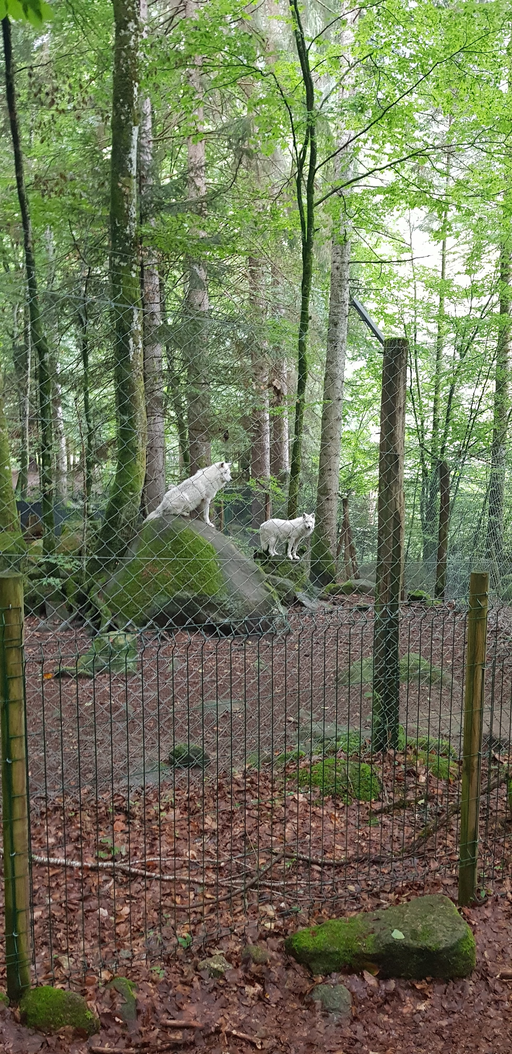 Photo n° 2 de l'avis de Cécile.e fait le 26/08/2022 à 18:02