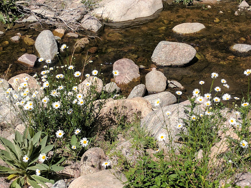 Museum «May Natural History Museum», reviews and photos, 710 Rock Creek Canyon Rd, Colorado Springs, CO 80926, USA