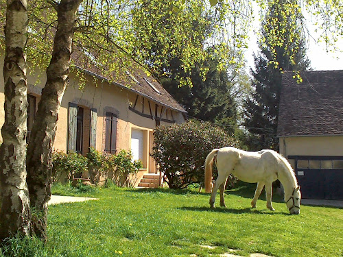 Les Ecuries d'Argent à Argent-sur-Sauldre