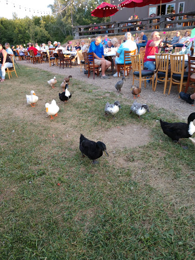 Winery «Hartford Hill Winery», reviews and photos, 3864 Bushnell Campbell Rd, Fowler, OH 44418, USA