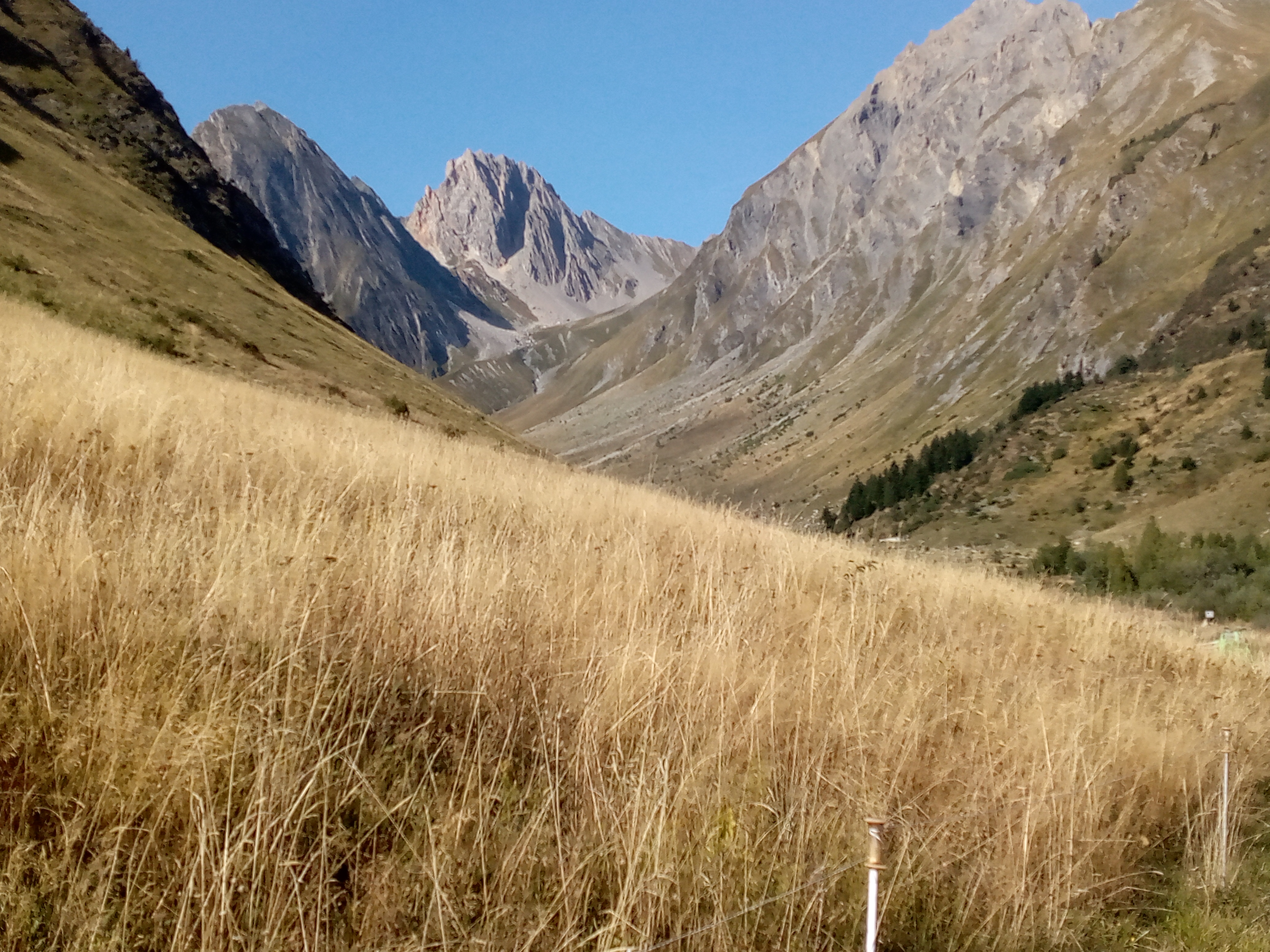 Photo n° 7 de l'avis de masson.e fait le 28/09/2023 à 13:56