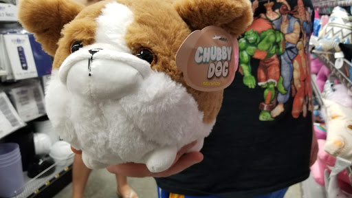 Variety Store «Five Below», reviews and photos, 54 THF Blvd, Chesterfield, MO 63005, USA