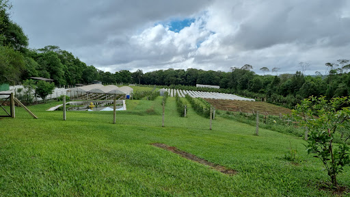 Fazenda orgânica Curitiba