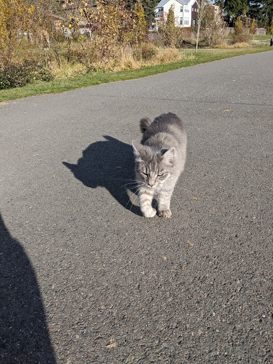 Park «Maple Leaf Reservoir Park», reviews and photos, 1020 NE 82nd St, Seattle, WA 98115, USA