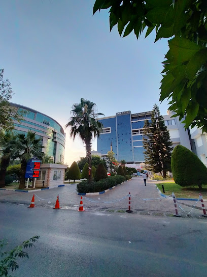 Avukat Ayfer Coşkun-Mersin | Gayrimenkul Avukatı-Mersin |Trafik Kazası Avukatı-Mersin | Sigorta Avukatı