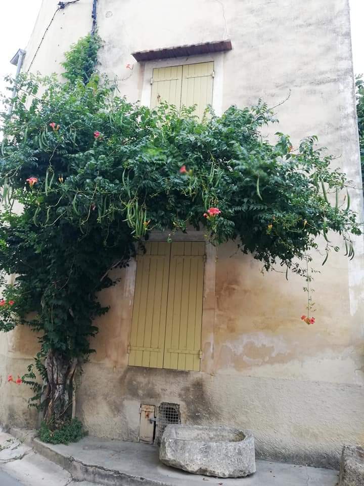 Photo n° 16 de l'avis de stephane.a fait le 09/09/2020 à 19:39