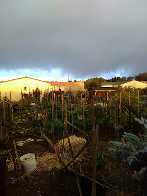 Jardins Partages à Fonsorbes