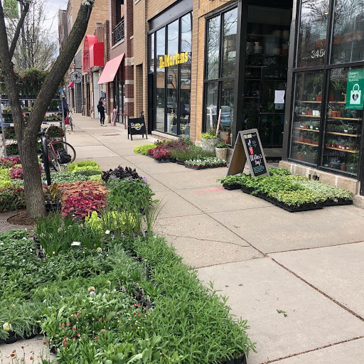 Florist «Thats Amore Florist Ltd», reviews and photos, 3454 N Southport Ave, Chicago, IL 60657, USA