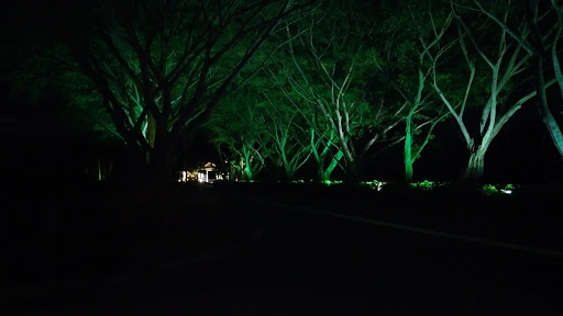 Country Club «Ironhorse Country Club», reviews and photos, 8055 Ironhorse Blvd, West Palm Beach, FL 33412, USA