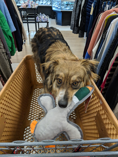 Department Store «T.J. Maxx & HomeGoods», reviews and photos, 6374 Promenade Pkwy, Castle Rock, CO 80108, USA