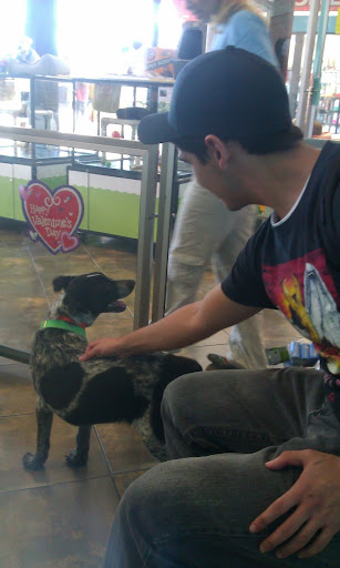 Pet Adoption Service «Found Animals Adopt & Shop», reviews and photos, 353 Lakewood Center Mall, Lakewood, CA 90712, USA