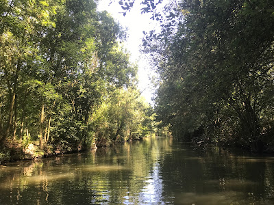Marais de Saint-Hilaire-Arçais à Saint-Hilaire-la-Palud