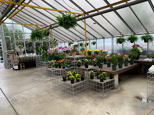 Mississauga Greenhouses Ltd.