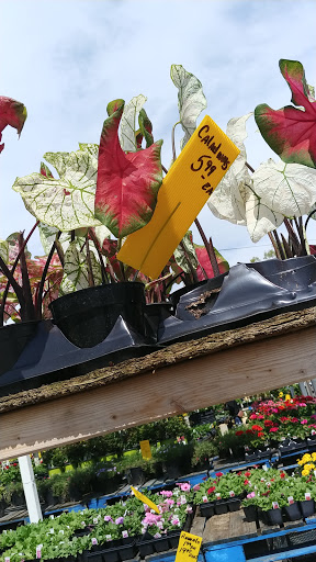 Produce Market «Iroquois Fruit Market», reviews and photos, 5405 New Cut Rd, Louisville, KY 40214, USA